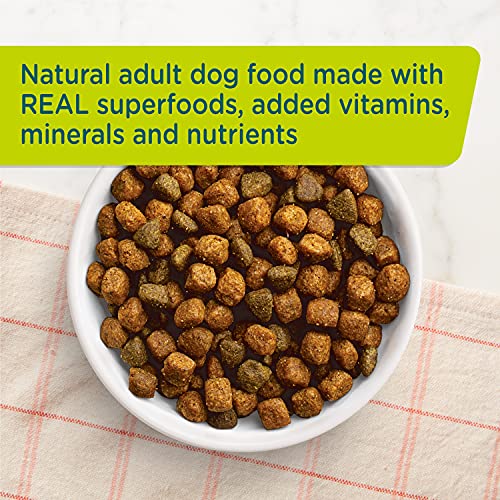 Rachael Ray Nutrish Supermedleys Wellness Blend Premium Dry Dog Food, Chicken With Salmon & Superfoods Recipe, 12 Pound Bag (Packaging May Vary) #TOP4