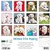 Willow Creek Press, Just Bichon Frises Puppies 2026 Wall Calendar, 12'' X 12'', 18-Month Calendar with Stapled Binding