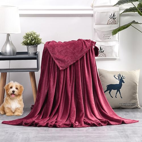 ѕz uPbg ~p Ђ| xr[ѕz/ybgѕz 70 x 250 cm _炩G Ȃ߂炩 I[V[Y zM RۖhL ÓdC_uh~ łyX 􂦂 |zc |ѕz |ӂƂ ~p lGKp, Cbh