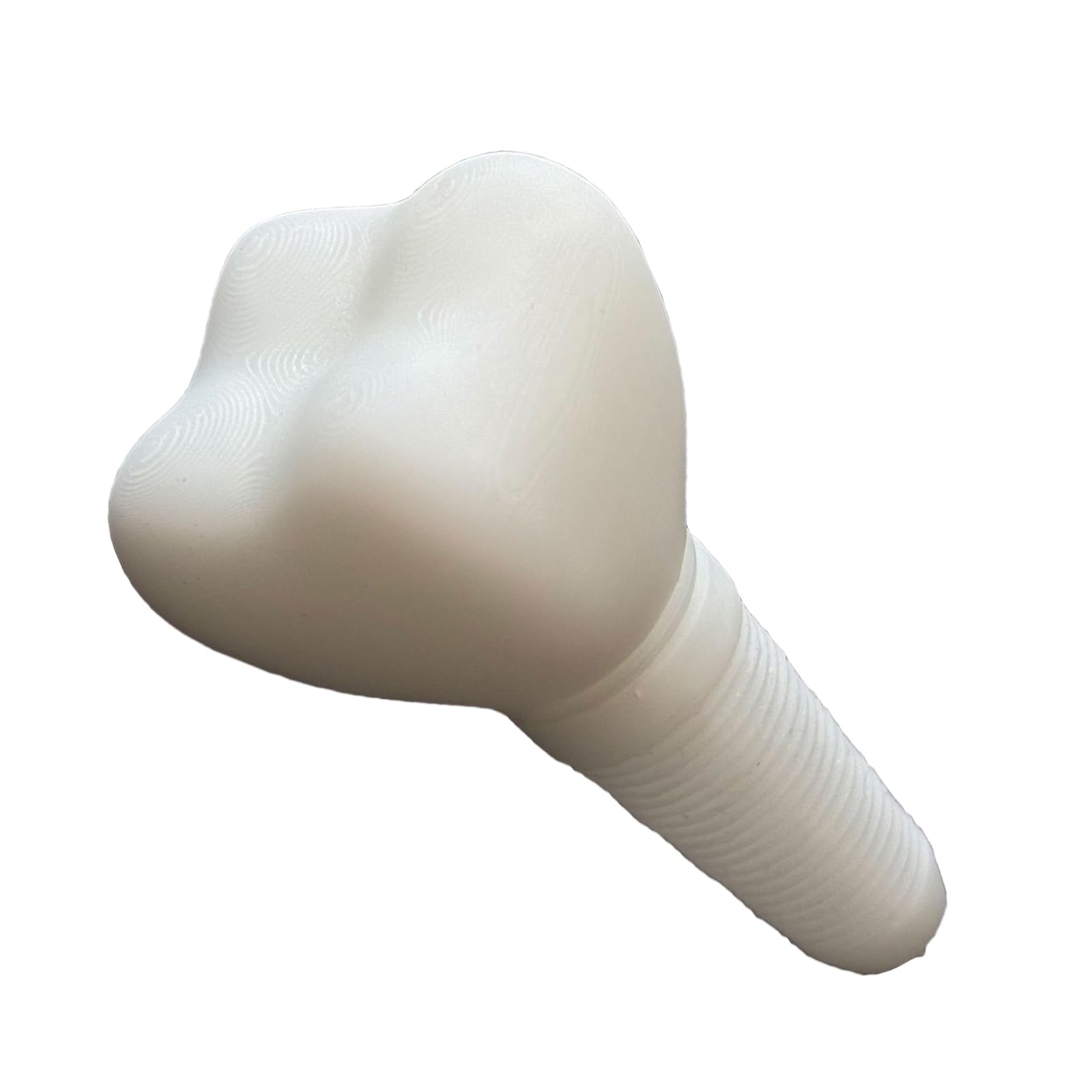 YRQMGSF 3D-Printed Dental Implant Patient-Clinician Communication Model Crown Abutment Model for Study Teach,1 pcs