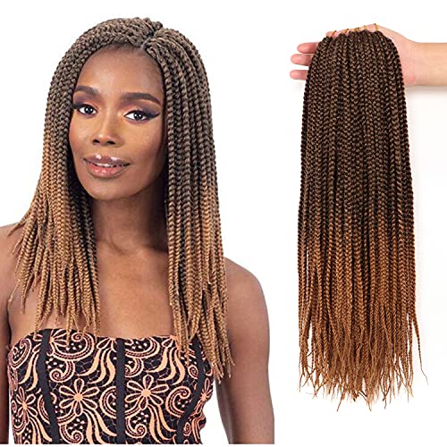 Extensions de cheveux au crochet pré-bouclées pour tresse afro femme noire 35,6 cm #T-27