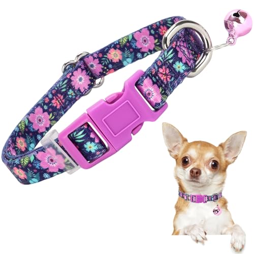 Floral Puppy Collar with Bell - Ultra-Soft Adjustable Kitten-Safe Nylon Collar for Tiny Dogs, Chihuahua, Pomeranian, Kittens, XS Small, Flower Pattern Design 49 XS