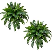 Set of 2 Senjie Artificial Boston Fern only