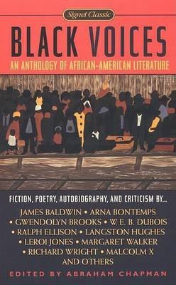 Black Voices: An Anthology of African-American ... B002A7GJWE Book Cover