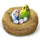 CoCoo Coconut Fiber for Birds, for Arts & Crafts Projects, Parakeet Nesting Material for Comfortable Bedding in Nesting Box, Great for Nest Building and Hideouts, 1.5 oz