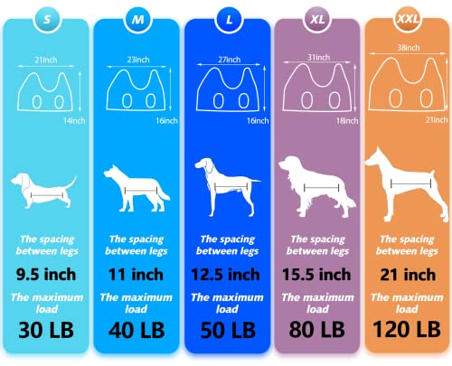 Ateson Pet Grooming Harness For Small Dogs & Cats With Nail Clippers/Nail Trimmers/Grooming Scissors, Dog Grooming Hammock For Nail Trimming, Pet Grooming Sling Helper, Blue, S #TOP1