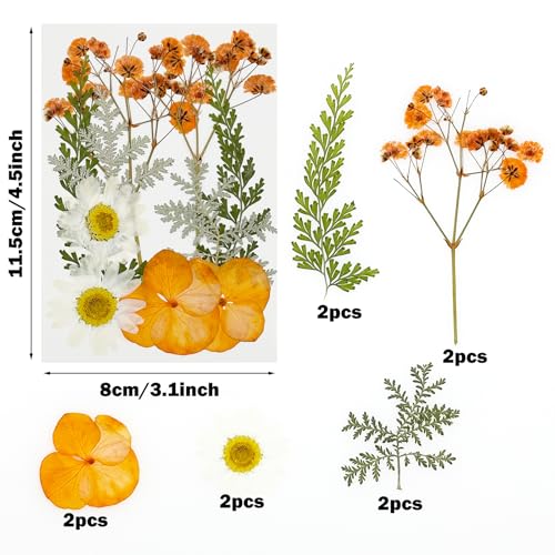 Cayway 40 PCS Dried Pressed Flower - Image 3