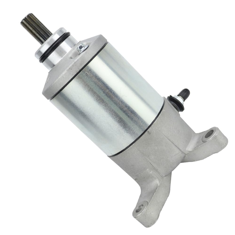 Baceyong Motorino di avviamento elettrico di ricambio per moto, 10 denti, compatibile con Suzuki Ozark 250 LT-F250 2002-2014 31100-02C00 31100-02C01