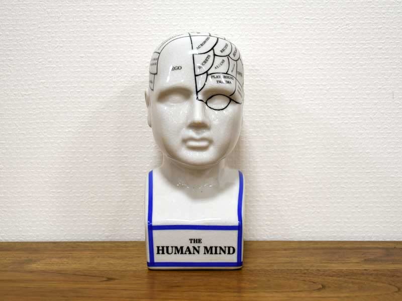 Amazon.co.jp: フレノロジーヘッド M 頭の置物 オブジェ THE
