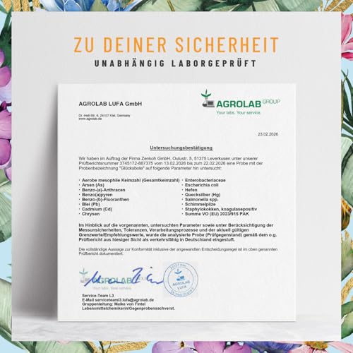 NATURTREU® GLÜCKSBOTE 5-HTP Komplex – 90 vegane Kapseln mit 100mg 5-HTP aus Griffonia, Safran, Zitronenmelisse & Vitamin B6 – hochdosiert, ohne Zusatzstoffe – Stimmungskapseln