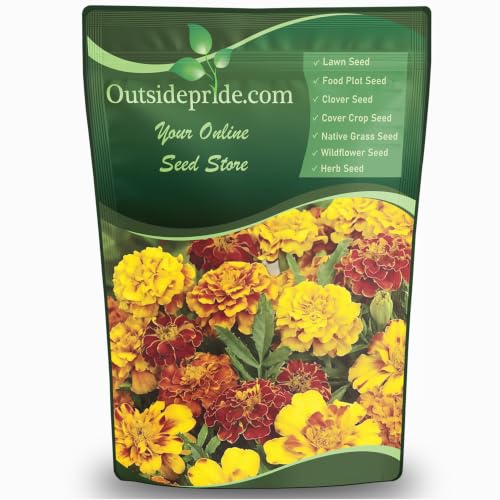 Outsidepride French Marigold Seeds Mix - 1/4 Lb. Annual, Compact, Heat & Drought Tolerant Flower Seeds for Planting w/Orange & Yellow Prolific Blooms, Ideal for Vibrant Pollinator Gardens