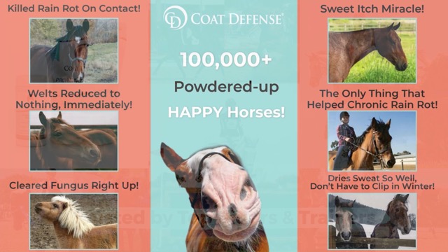 Coat Defense Daily Preventative Powder & Rain Rot Treatment for Horses | Safe & Effective Equine Sweet Itch, Skin Funk, Scratches | Dry Horse Shampoo, 8 oz. | All Natural Ingredients - image 8