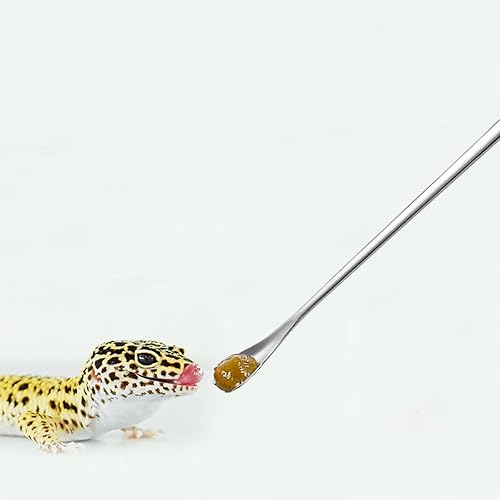 Miniatura 3 de 2 cucharas de comida para reptiles, mezcla de frutas en polvo, herramienta de alimentación de mango largo, se adapta a gárgola crestada, lagarto