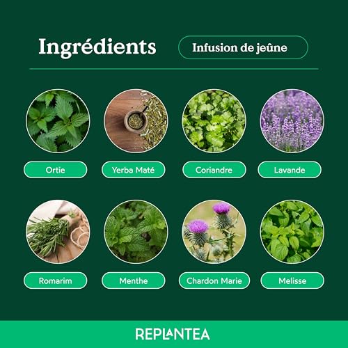 TISANE DU JEÛNE BIO 100g (50 Tasses) | Hydratant et énergisant pour le jeûne intermittent | Maté, Chardon-Marie, Thé vert, Ortie, Mélisse, Lavande REPLANTEA – vue 4