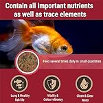 Tetra Goldfish Flakes, Nutritionally Balanced Diet For Aquarium Fish, Vitamin C Enriched Flakes, 2.2 oz - Image 2