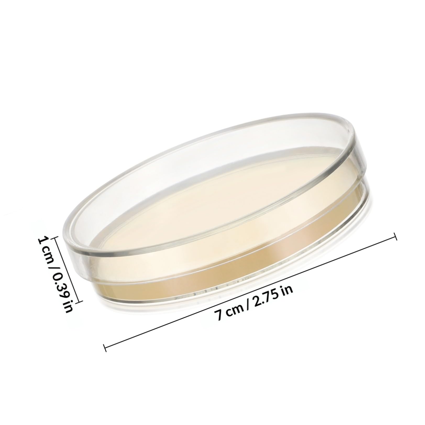 Placas de Agar Prevertido 20 Pcs 7cm, Agar, Petri para Cultivo | Uso en Investigación y Escuela, Suministro de Laboratorio, Formato Listo para Emplear