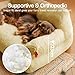 MEWOOFUN groß Katzenbett kleines Hundesofa Flauschig und waschbar Katzensofa Hundebett für Katzen, weich Katzenbett katzencouch mit Rutschfester Unterseite, Gelb 66x48cm