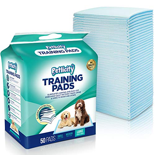 Empapadores de adiestramiento para perro, alfombrillas muy absorbentes para proteger el suelo