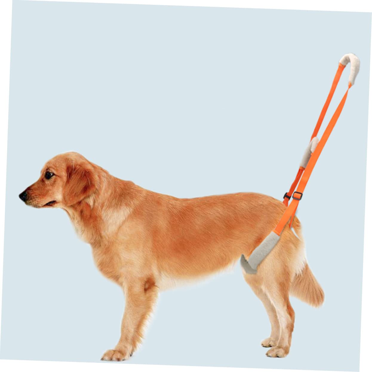 Sosoport Portable Dog Back Leg Support Brace Harness for Dogs Breathable Dog Sling for Puppies