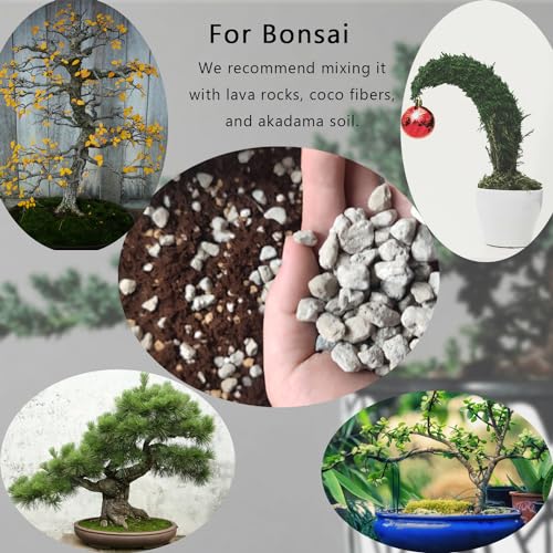 Rurtsva Horticultural Pumice for Plants 10QT, Natural Organic Pumice Stones for Succulent Cactus Bonsai Tree Orchid Potting Mixed, Improves Soil Aeration and Drainage, Promotes Root, Gray by Rurtsva - Image 6