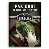 Survival Garden Seeds - Canton White Stem Pak Choi or Bok Choy Seed for Planting - Packet with Instructions to Plant and Grow in Your Home Vegetable Garden - Non-GMO Heirloom Variety