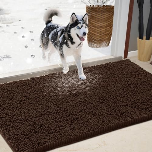 IM HOME Chenille Absorbent Outdoor Doormat 36