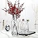 Lucky Bird Crystal Clear Glass Vase - Modern Ribbed Design for Flowers, Candles, and Decorative Accents - Tall/Short Sizes (Clear, H7.87inch)