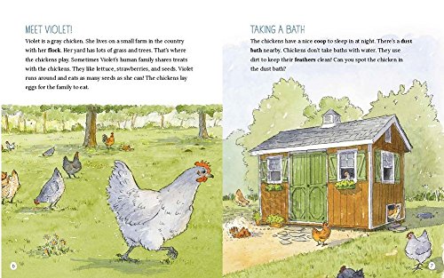 Let's Hatch Chicks!: Explore the Wonderful World of Chickens and Eggs