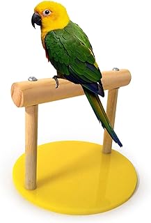 BEIJIALY Bird Stand Tabletop, Bird Perch Platform Bird Perch Stand Toy, Bird Wooden Perch Standing Frame Stand Pole Plastic Base Parrot Chewing Biting Toy Cage Accessories