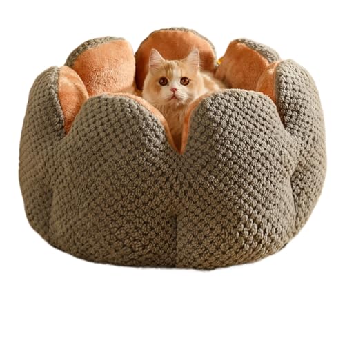 FiozweaT{ẻԂт^R[t[XԂтxbhiLƌpA̐FpӁj (C,M)