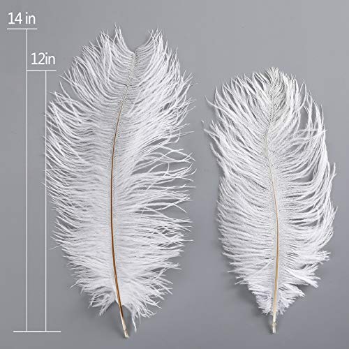 Awaytr 12-14 Inch (30-35Cm) Natural Ostrich Feathers Plumes Bulk Wedding Party Gatsby Table Centerpieces Decoration (10Pcs,White) #TOP1