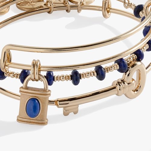 Alex and Ani Lock and Key Bangle Set of 32