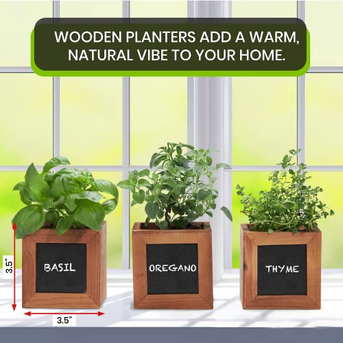 Zestigreens Indoor Herb Pots For Herbs, Succulents, Or Small Plants. 3 X Indoor Plant Pots With Waterproof Liner Included. #TOP6