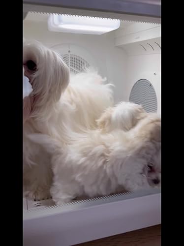 Amazon | Acesidn ペットドライルーム 65L大容量 ペットドライヤー