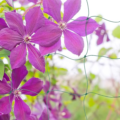 Relaxdays Trellis Net, Cucumber & Flowers Climbing Support, Greenhouse, Mesh Size 10 cm, 200 x 500 cm, Plastic, Green - Image 2