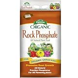 Espoma RP28 Rock Phosphate, 28-Pound