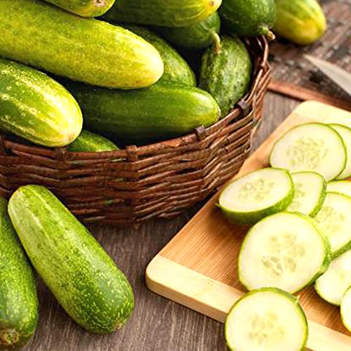 Cucumber Marketmore Seeds – Easy to Grow – Home Grown - Fresh & Tasty Vegetables – Rich in Vitamins – for Your Beautiful Garden