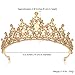 SuPoo Gold Crown Queen Crowns for Women Birthday Tiara Champagne Tiara for Women Rhinestone Headband Hair Accessories Gifts Princess Decoration for Wedding Party Prom Halloween Costume