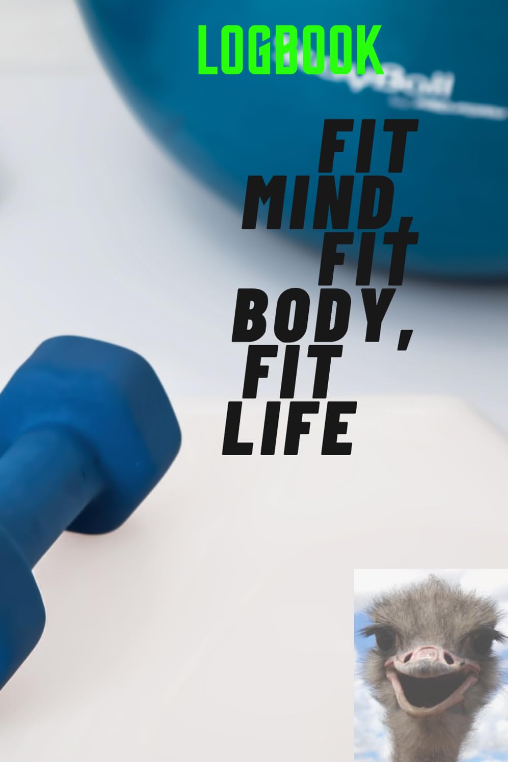 Fit Mind, Fit Body, Fit Life: 4 Month Gym Logbook