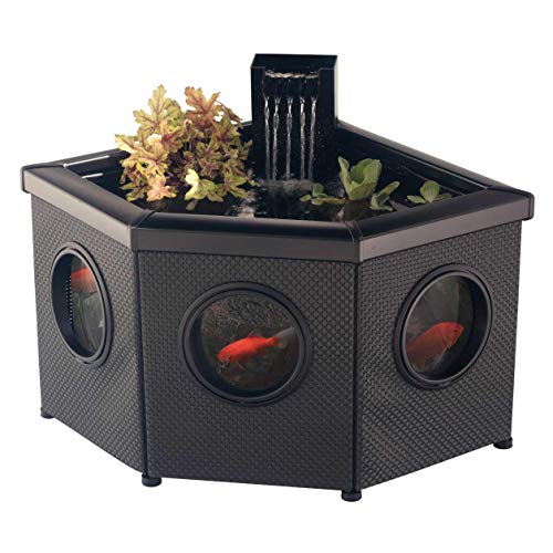 Blagdon Affinity View Corner Living Water Feature Pool