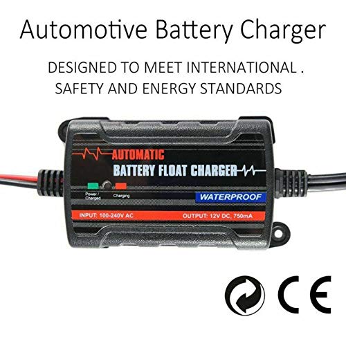 Caricabatteria Intelligente Riloer 6V/12V 1000mA | Mantenitore Automatico Per Moto E Auto Con Protezioni - 3