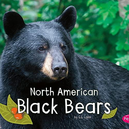 North American Black Bears by G.G. Lake episode artwork