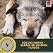 Multi Vitamin B Komplex Hund 100 ml – Hochdosierte Vitamine für Hunde mit Vitamin A D3 E B1 B2 B6 B12 C Folsäure Zink Selen – Vitalität für Welpen & Senior – Immunsystem stärken Hund Vitamin Liquid