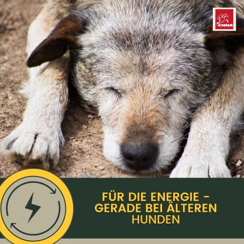Multi Vitamin B Komplex Hund 100 ml – Hochdosierte Vitamine für Hunde mit Vitamin A D3 E B1 B2 B6 B12 C Folsäure Zink Selen – Vitalität für Welpen & Senior – Immunsystem stärken Hund Vitamin Liquid