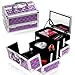 SHANY Chic Makeup Train Case Cosmetic Box Portable Makeup Case Cosmetics Beauty Organizer Jewelry storage with Locks, Multi trays Makeup Storage Box with Makeup Mirror - Purple