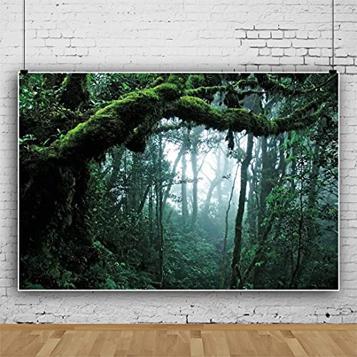 Renaiss 2.2x1.5m Giungla Foresta Avventura Sfondo