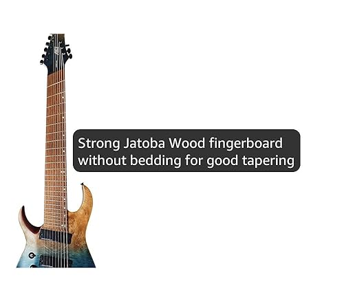 Amazon.com: IYV-ISFF9-400 LH, 9 String Solid Body with Quilted