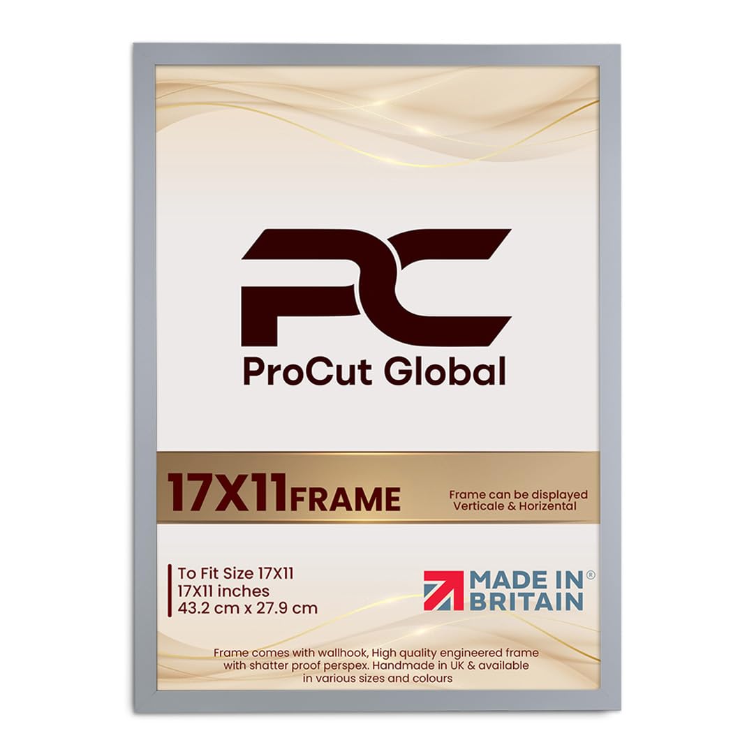 Procut Global 17X11 Light Grey Picture Frames - Modern Wooden Photo Frame with Shatterproof Perspex for Wall or Tabletop - Perfect for Posters, Certificates, Prints - Sizes & Colors Available