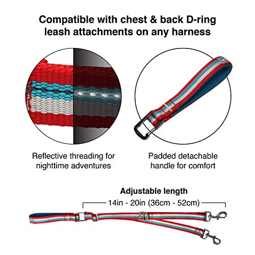 Kurgo Walk About Dog Training Reins, Two Control Point Leash, No Pull Training Leash For Dogs, Double Dog Leash, Adjustable, Reflective, Tangle-Free, Chili Red/Coastal Blue #TOP2