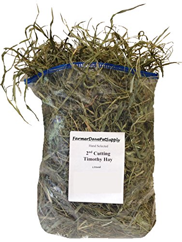 1 Lb Second Cut Timothy Hay, Bunny, Guinea Pig and Chinchilla Hay